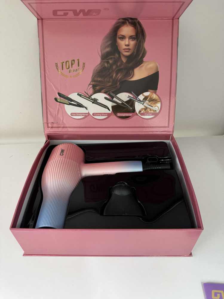 GW Professional Hair Dryer