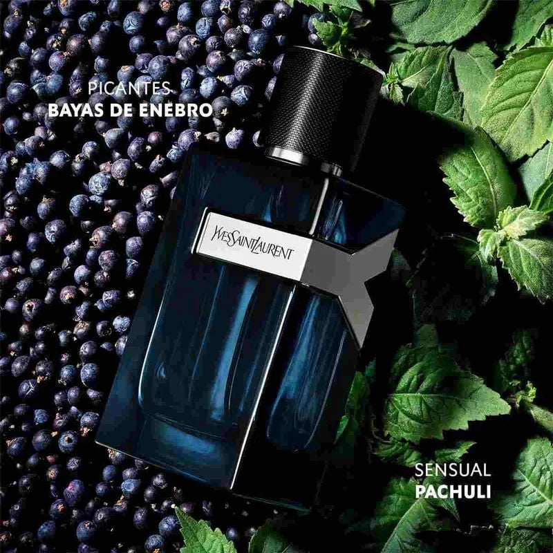 Yves Saint laurent intense